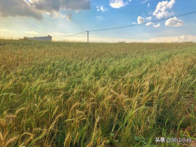 探寻包头市固阳县境内古遗址道路上的一些个人感悟