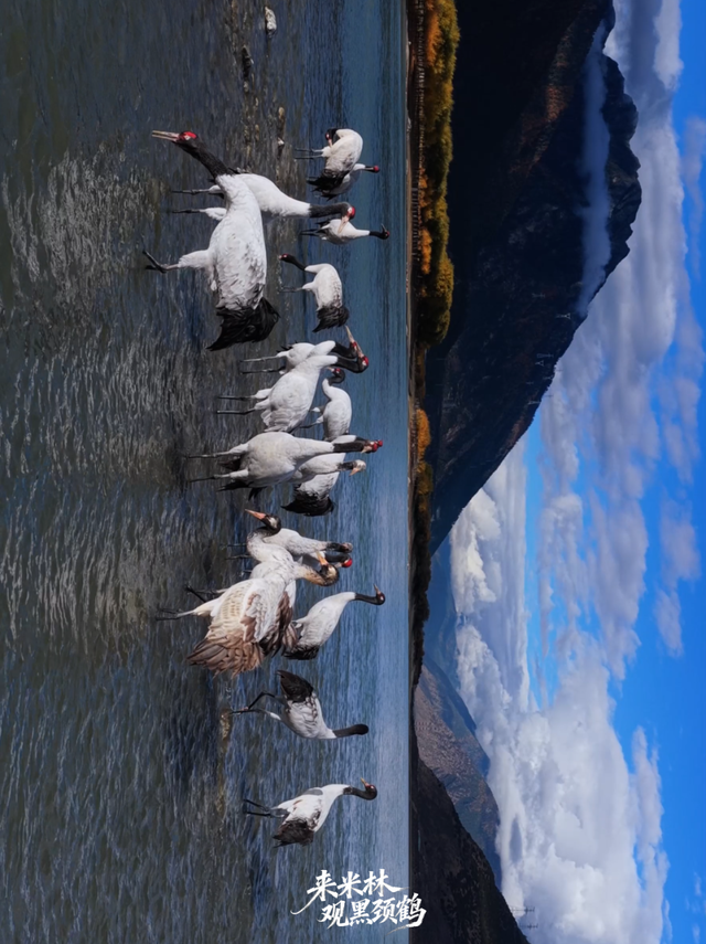 这个冬天，一定要来西藏看……
