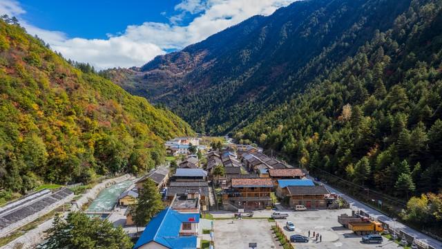 东边邻国马上看不到，国人真有福！几个能看熊猫的景点赶紧去打卡