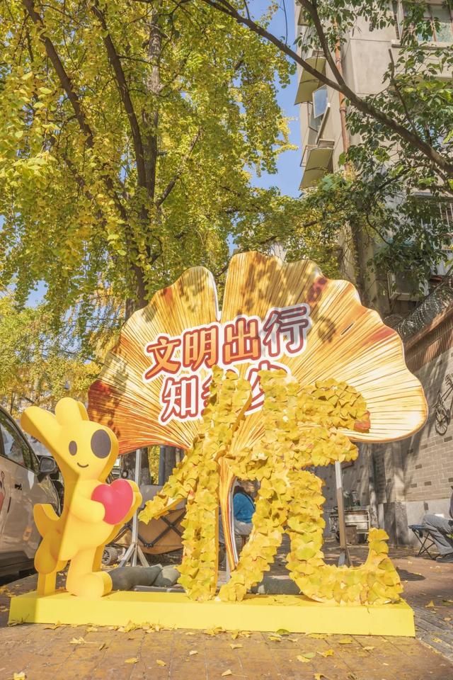 这个周末来银杏路,百张骑行卡免费送!