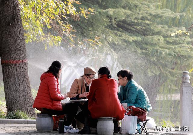 西湖公园：冬日暖阳里的惬意时光