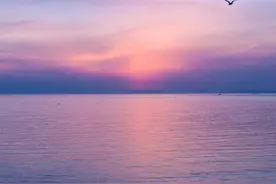 复习课怎么上？图片