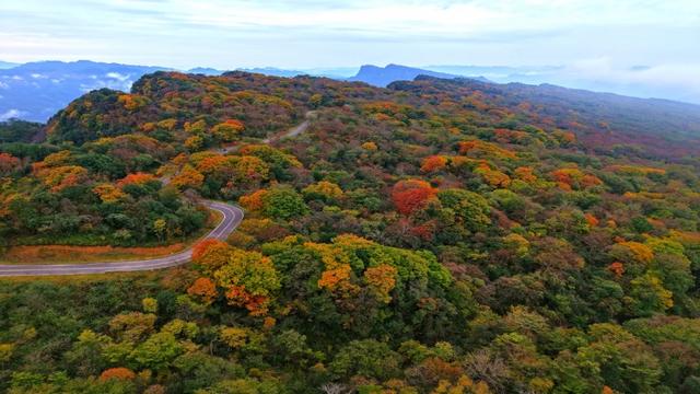 昨日实拍！层林尽染盐井峡，漫山红叶醉秋风，观赏正当时