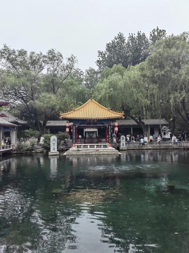 “白菜价”机票来了!重庆直飞,这些地方景美又好玩