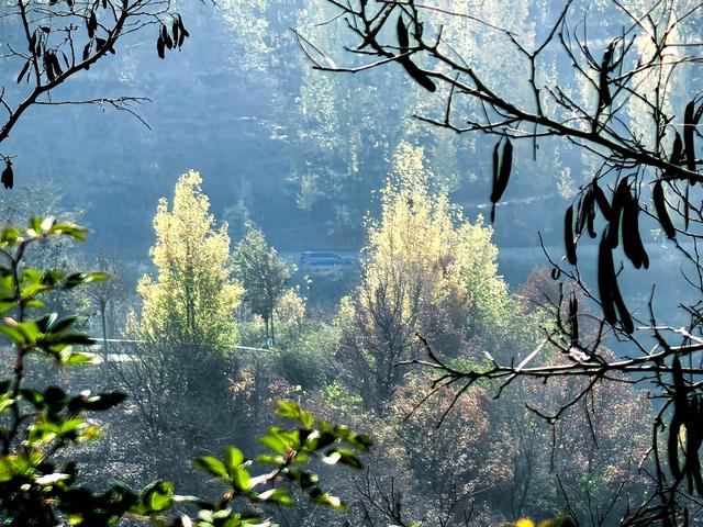 小雪｜冬意初临时，风物成画，岁月如诗