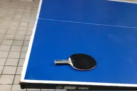 业余乒乓球爱好者能够用蝴蝶vis吗？图片