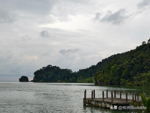 马来西亚(35)砂拉越州⑨峇哥国家公园徒步线路