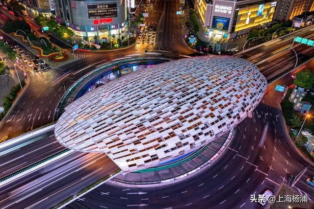 乐园+1！“顶流萌宠”在五角场聚集