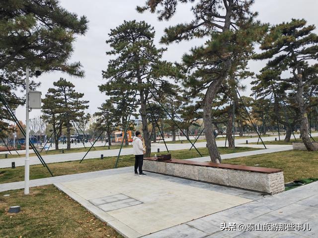 泰安：一个广场里的2个躺椅爆红网络，“抢位大战”让你“躺”赢