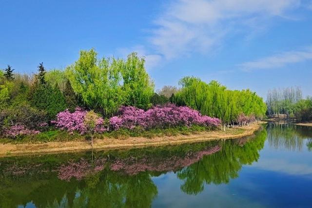 北京元大都城垣遗址公园 海棠花溪
