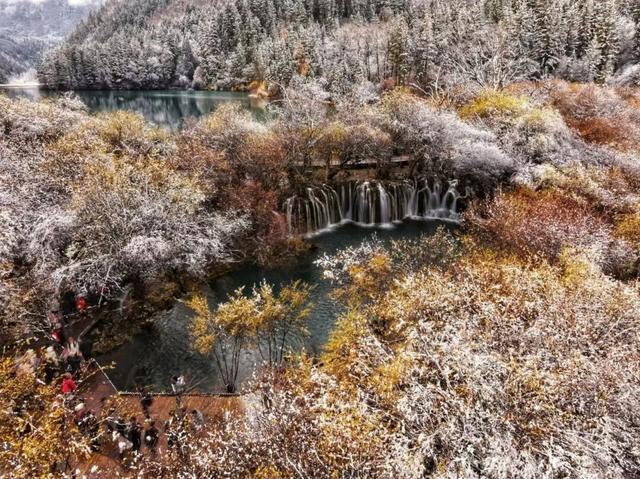 九寨沟冬日限定皮肤上线！快来九寨沟赏雪林彩池啦~