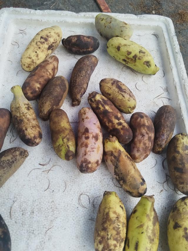 霜降时节，柿林村徒步