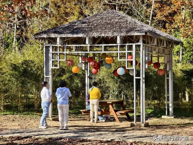 色彩峰值~走进横山公园“枫”景大片！