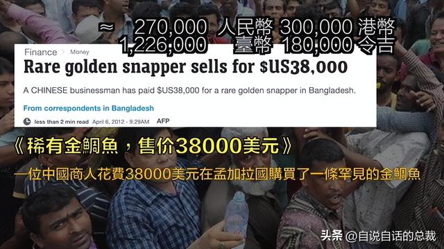 鳘鱼花胶 2025年鳘鱼花胶做法