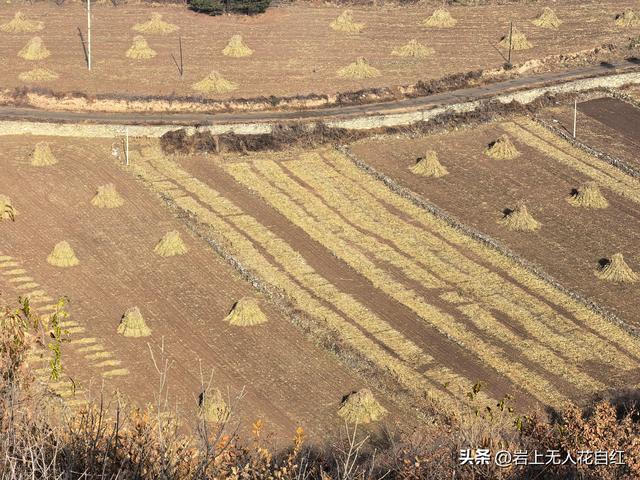 长城徒步之95：赤城万水泉村至琵琶村长城，遇42眼护城墩和圆楼