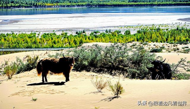 《八进西藏》在山南：遇见雅鲁藏布江与沙漠交织的自然画卷