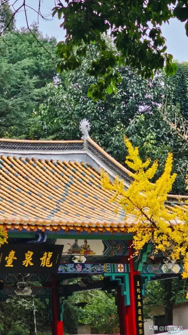 初冬氛围感出片计划，走起！昆明这份打卡攻略速速收藏→