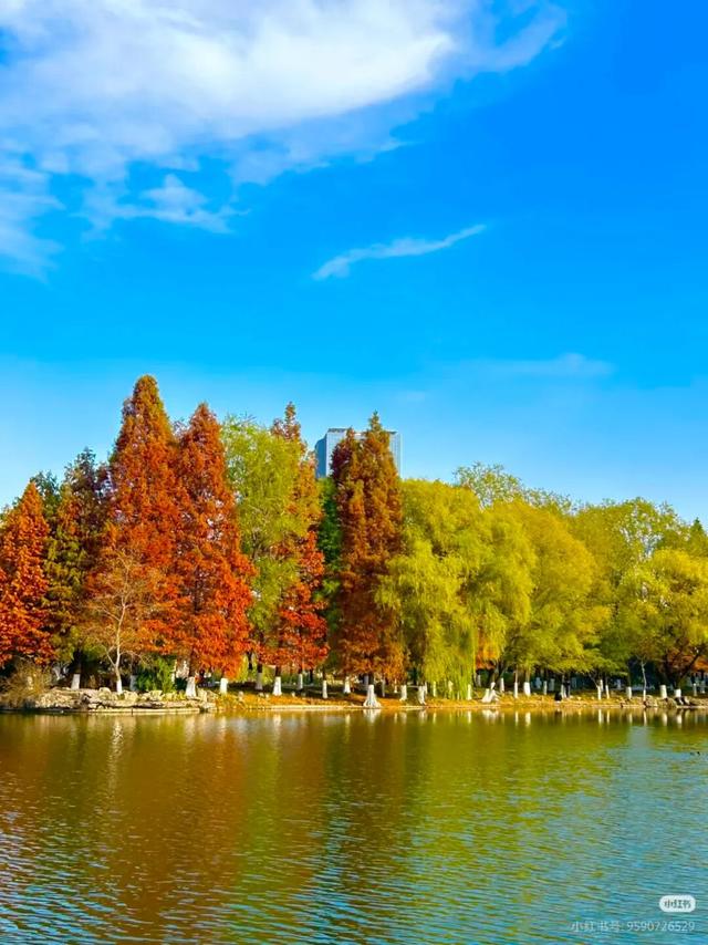 叶落临沂，步步皆是诗意画卷