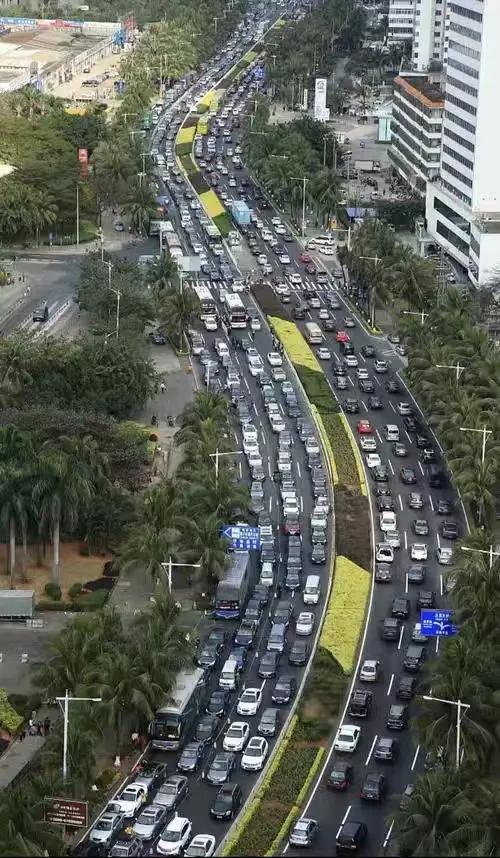 三亚不好玩了?东北人大批撤离,离开原因不是物价,而是生活现实