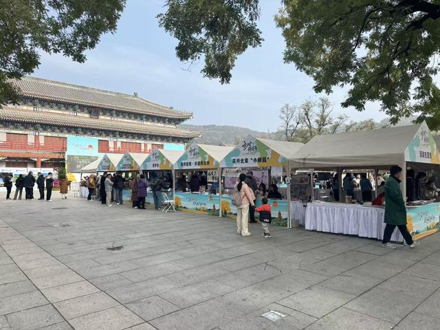 和古树“贴贴”、体验古树医院“黑科技”！来这里都能实现→