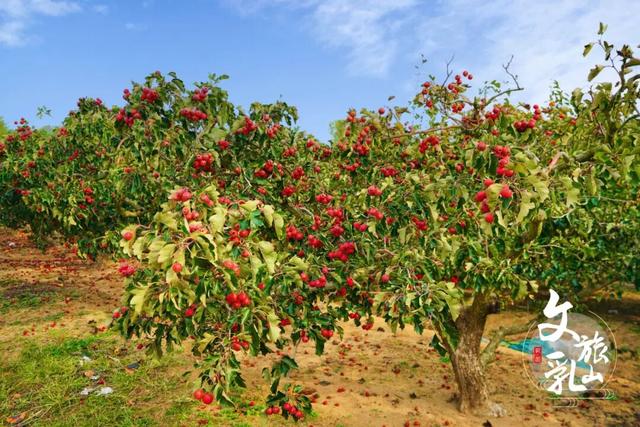 这条「五彩斑斓」的赏秋路线，把秋天都打包给你了！