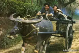 80年代香港动作电影，全看过就暴露年龄了图片