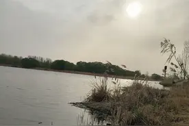 当爱已成往事《一》图片