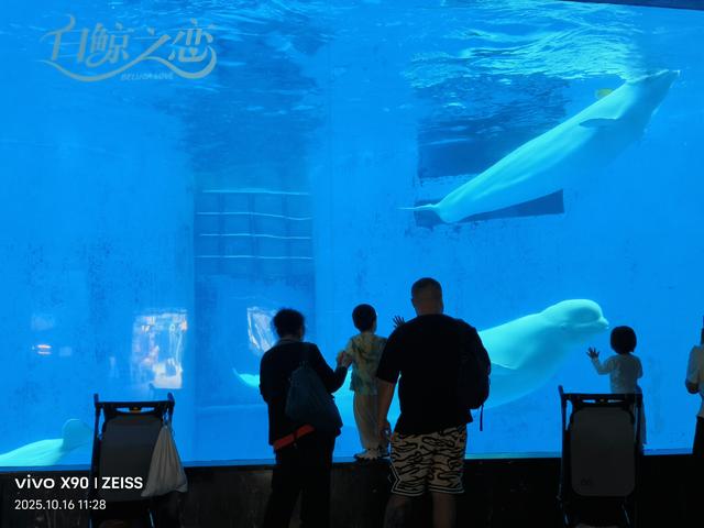 成都 极地海洋公园（58）2025年10月16日