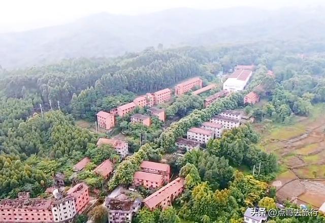 成都彭州的魔幻彩林，都不要门票！壮观、唯美、浪漫，无不惊艳！