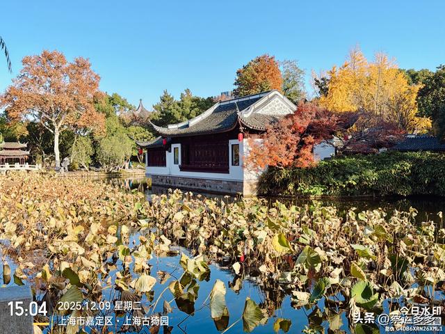 沪上园林古猗园已达颜值巅峰