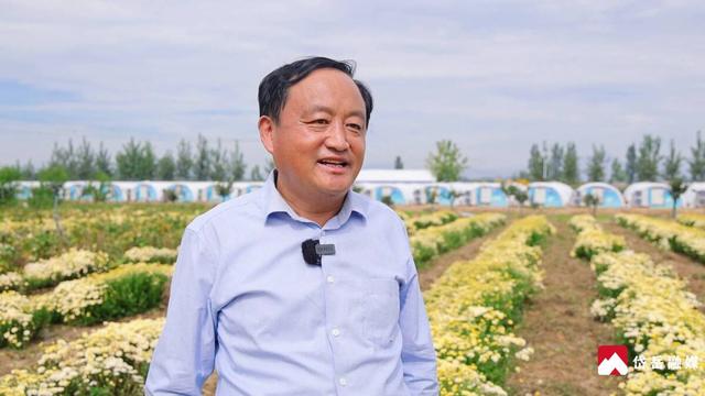 文化中国行丨寒露时节探访范镇：菊花绽放韵味悠长
