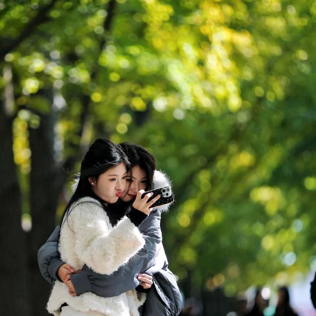 地坛银杏文化节明日开逛!秋日“赶集”天花板来啦→