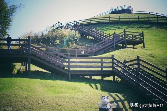 认识大美浙江的每个县——第九波：泰顺