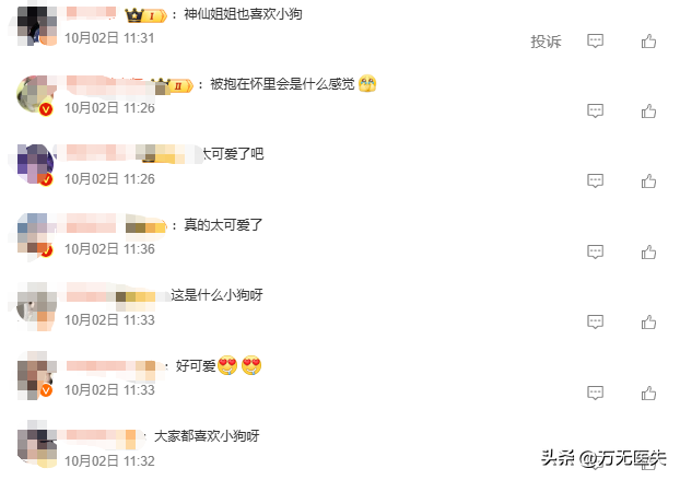 刘亦菲国庆自驾新动态！新车新狗有寓意，目的地引8000万网友竞猜