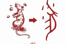 建议收藏！甲骨文中的十二生肖！图片