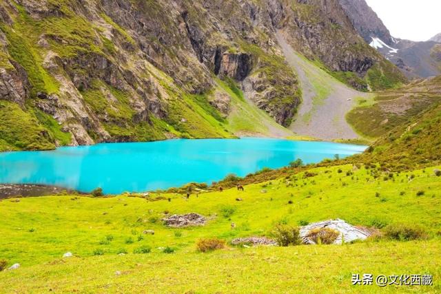 秋天不去西藏玉许乡，真的会遗憾一整年！3日沉浸式漫游指南送你！