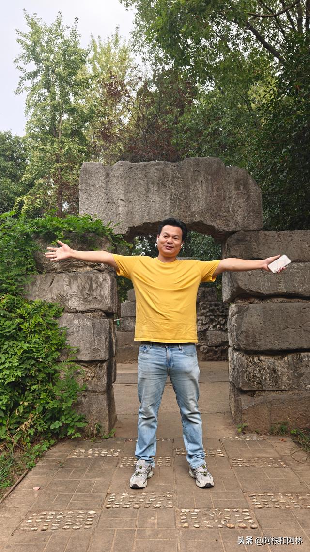 秋日粉色浪漫！南京紫金山下免费花海，还有神仙猫咪和霸气大鹅！