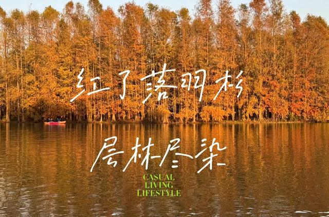 我是上海人,去了奉贤和金山,直言不讳:奉贤跟金山天差地别