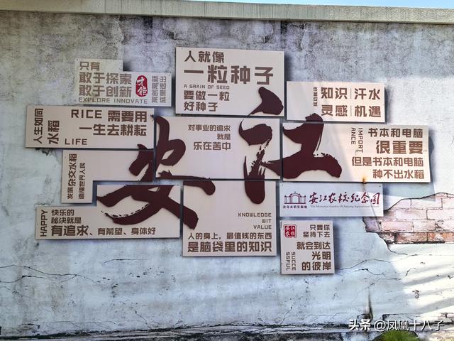 一粒种子改变世界（走进怀化安江农校探寻袁隆平院士足迹）
