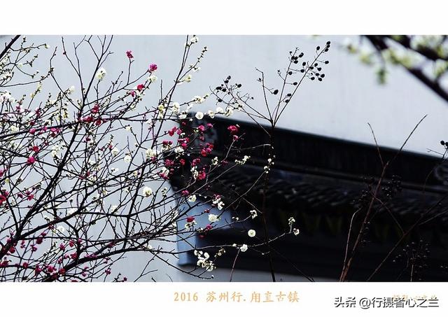 江南古镇行游影记（31）—甪直古镇（六）