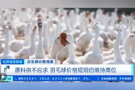 羽毛球涨得比黄金还快？亚羽联首席运营官：已经在想办法了图片