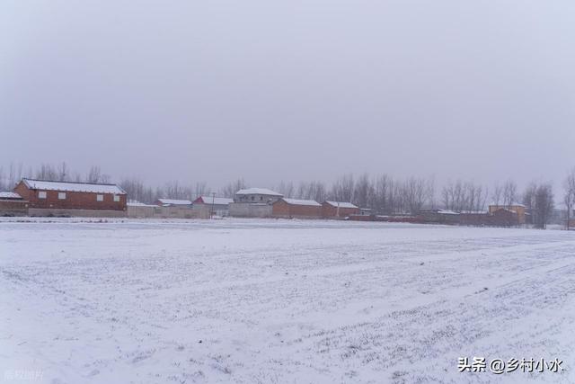 明日小雪	，“小雪不过午，冬天冻死牛”，冬天冷不冷就看小雪！