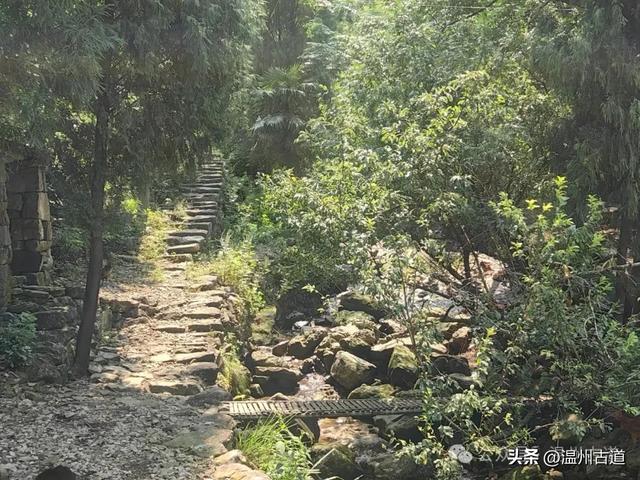 温州这处山水秘境、天然氧吧，人迹稀少风景绝美，秘藏了隐世古村
