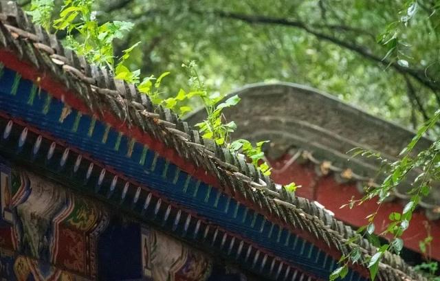 雨润临洮，秋光满故城