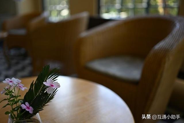 轻松尽享柔和虚化佳作!尼康「NIKKOR Z 35mm f/1.4」评测