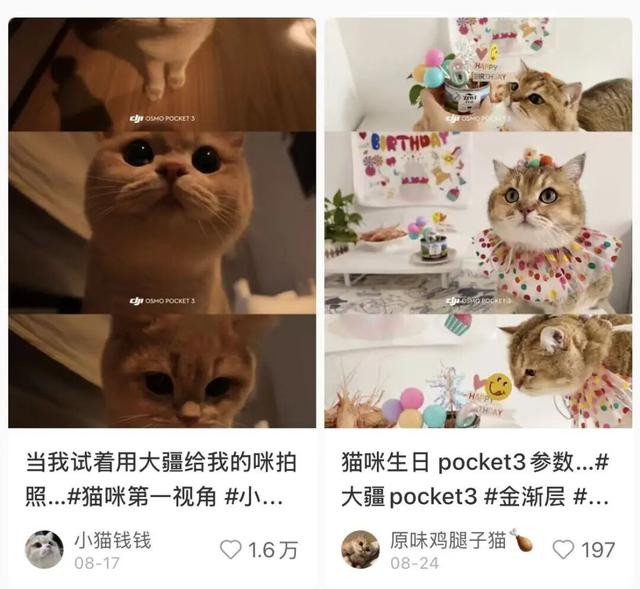 每个人都能拍出的“电影感	”，被大疆卷到位了