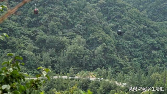 山上的野花为你开 从锡崖沟经王莽岭隧道到达太行之巅东庙华村