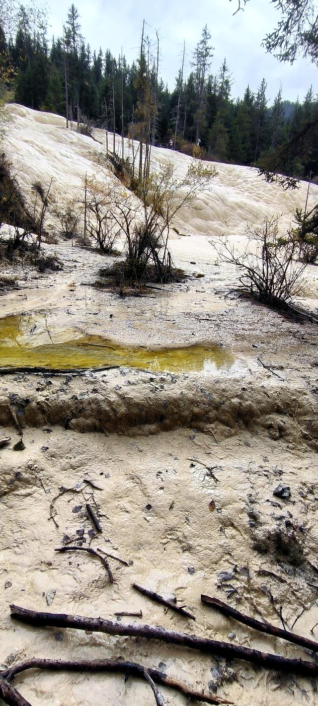 神仙池（一）竖幅