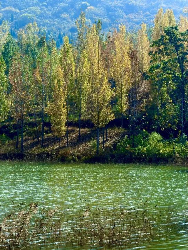 宿州私藏了个“小九寨沟”！就在萧县官桥镇，美到犯规！