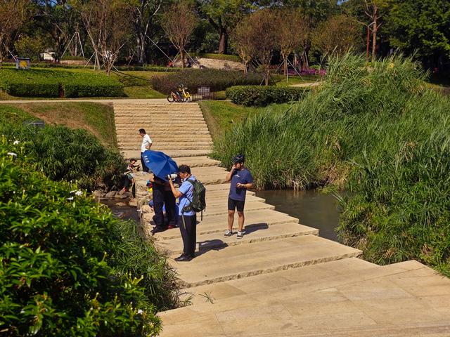 从学苑大道入大沙河绿过大学城后进深圳弯公园流花山景点【高清】